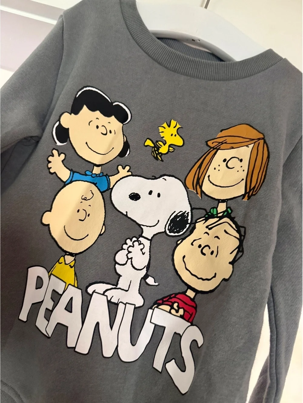Peanuts Gray Sweat Outfit Sz 4T Great Condition